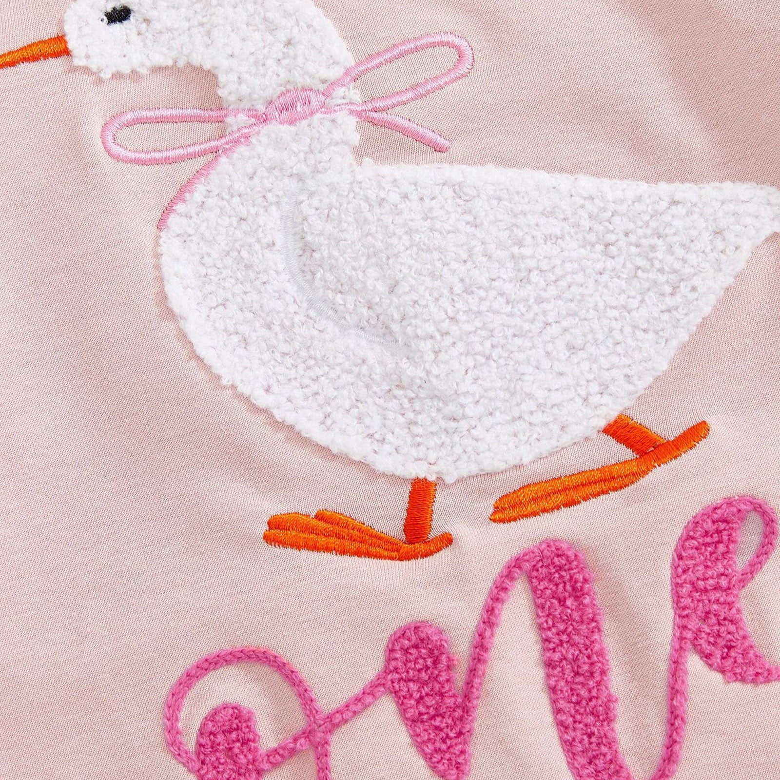 FYEGRE Baby Girls First Birthday Outfit Long Sleeve Goose Embroidery Soft Bodysuit Romper for Toddler Photo and Wear Pink 6-12 Months